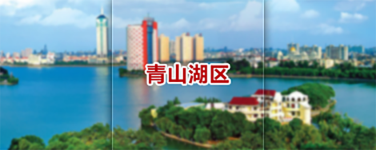 青山湖區公共就業人才服務網